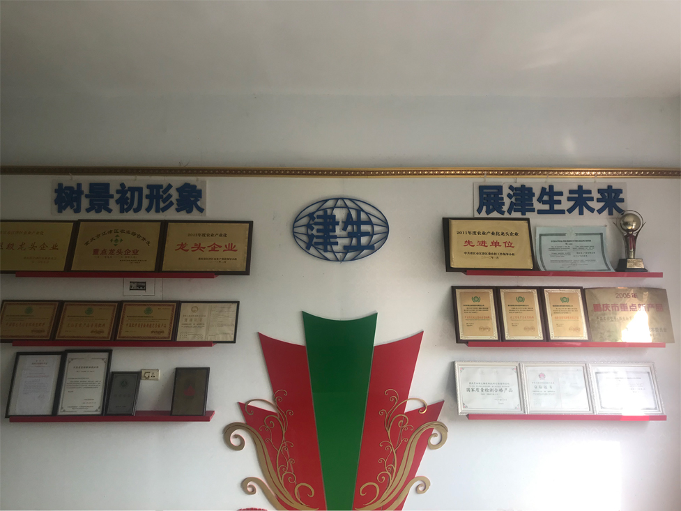 公司荣誉墙.jpg